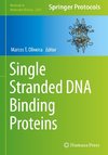 Single Stranded DNA Binding Proteins