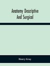 Anatomy Descriptive And Surgical