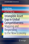 Intangible Asset Gap in Global Competitiveness