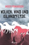 Wolken, Wind und Islandpferde