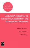 Systems Perspectives on Resources Capabilities & Management Processesadvanced Series in Management (ASM)