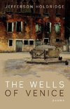 The Wells of Venice