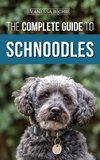 The Complete Guide to Schnoodles