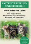 Katzen verstehen und erziehen