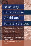 Maluccio, A: Assessing Outcomes in Child and Family Services