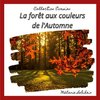 La forêt aux couleurs de l'Automne