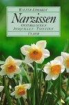 Narzissen