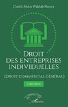 Droit des entreprises individuelles (Droit commercial général) 2ème édition