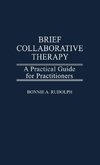 Brief Collaborative Therapy