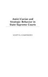 Amici Curiae and Strategic Behavior in State Supreme Courts