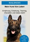 Malinois