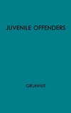 Juvenile Offenders Before the Courts