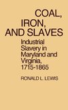 Coal, Iron, and Slaves