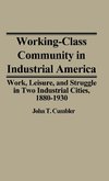 Working-Class Community in Industrial America