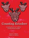 Counting Reindeer