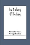 The Anatomy Of The Frog