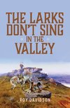 The Larks Don't Sing in the Valley