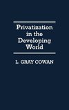 Privatization in the Developing World