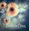 Butterflies, A No Text Picture Book