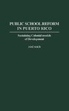 Public School Reform in Puerto Rico