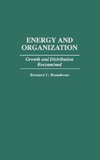 Energy and Organization