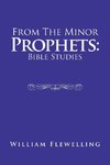 From the Minor Prophets