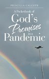 A Pocketbook of God's Promises in a Pandemic