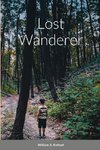 Lost wanderer