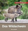 Das Wildschwein