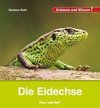 Die Eidechse