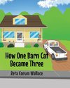 How One Barn Cat Became Three