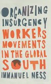 Organizing Insurgency