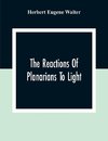 The Reactions Of Planarians To Light