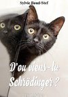 D'où viens-tu Scgrödinger ?