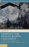 Remedies for Human Rights Violations