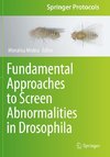 Fundamental Approaches to Screen Abnormalities in Drosophila