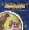 Growth and Life Cycle of Living Things