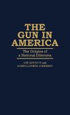 Gun in America