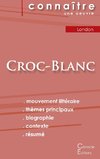 Fiche de lecture Croc-Blanc de Jack London (analyse littéraire de référence et résumé complet)