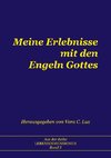 Meine Erlebnisse mit den Engeln Gottes