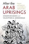 After the Arab Uprisings