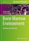 Bone Marrow Environment