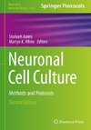 Neuronal Cell Culture