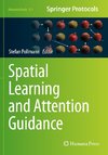 Spatial Learning and Attention Guidance