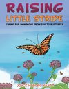 Raising Little Stripe