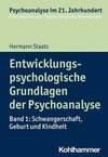 Entwicklungspsychologische Grundlagen der Psychoanalyse