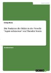 Die Funktion der Bilder in der Novelle 