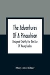 The Adventures Of A Pincushion