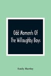 Odd Moments Of The Willoughby Boys