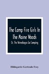 The Camp Fire Girls In The Maine Woods; Or, The Winnebagos Go Camping